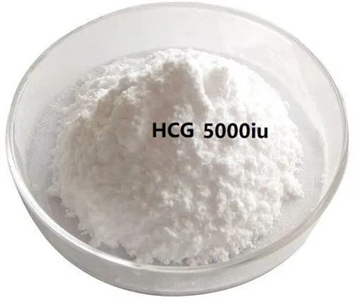 HCG (Human Chorionic Gonadotropin) 5000iu poud CAS:9002-61-3