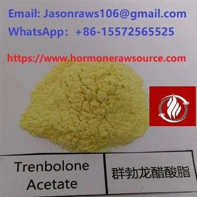 High Quality Trenbolone Acetate Powder Pou Gzèsis CAS: 10161-34-9