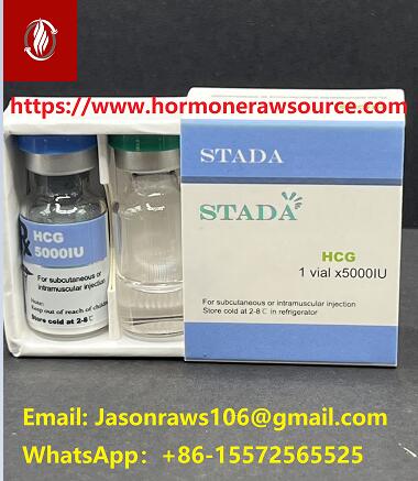 STADA Premium Gonadotropin Chorionik Imèn (HCG) 5000iu / flakon pou kulturism CAS: 9002-61-3