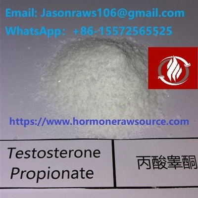Testostewòn Propionate Powder Bodybuilding CAS:57-85-2